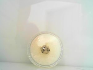 Loose Stones one 1.22ct Rose Cut Hexagon Salt and Pepper  Diamond 8.50mmx7.0mm