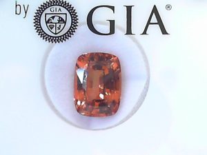 One 5.33Ct Cushion Pyrop-Spessartine Orange Garnet - GIA 5234328014