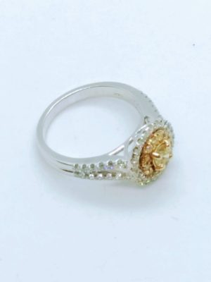 Lady's Two Tone 14 Karat Round Double Halo Engagement Ring Size 6
one 0.25ct Round VS2 Intense Yellow Diamond
12=0.11tw Round SI3 Intense Yellow Diamonds
50=0.50tw Round G/H VS2 Diamonds