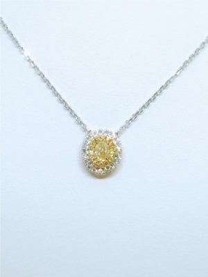 Two Tone 18 Karat Oval Double Halo Necklace
one 0.35ct Oval SI1 Intense Yellow Diamond
14=0.10tw Round SI1 Intense Yellow Diamonds
20=0.17tw Round G SI2 Diamonds
Style: Cable Link
Metal: 18 Karat
Color: White
Finish: Polished
Length: 18
Clasp: Lobster