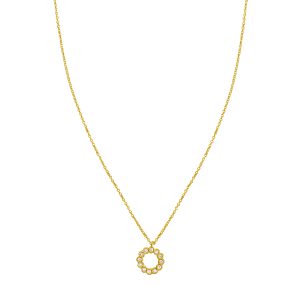 14K Petite Diamond Circle Necklace