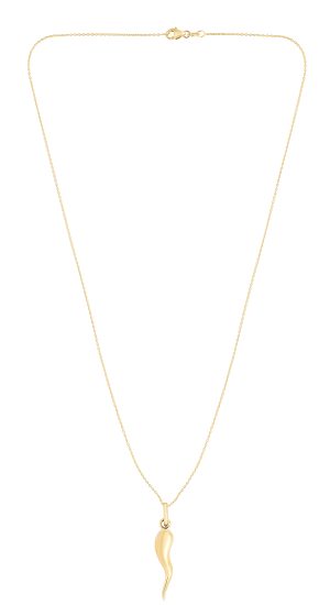 14K Gold Italian Horn Necklace